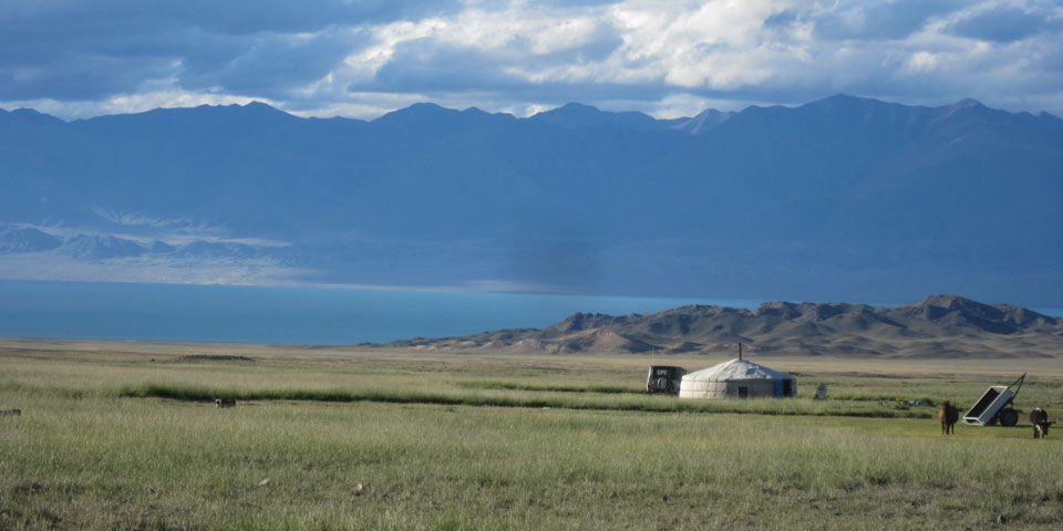 LANGYARNS Noble Nomads Mongolian Yurt in the grasslands